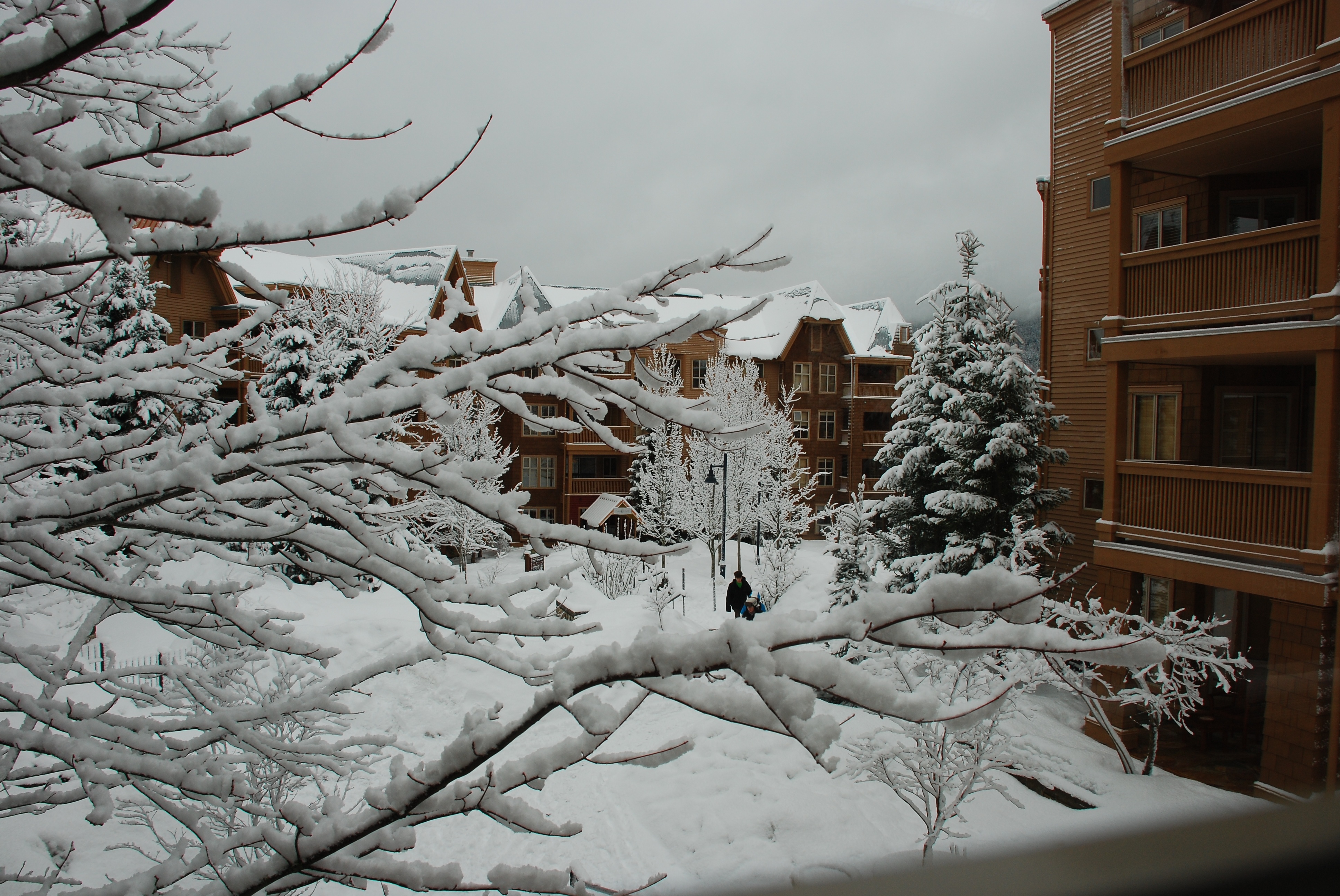 2009-03-WHISTLER WITH MUSSATTOS 15.jpg